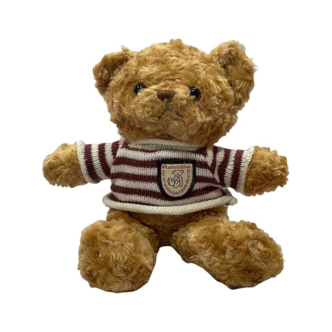 Soft T-shirt Teddy Bear (12pcs) – Cuddly Plush Bears with Outfits