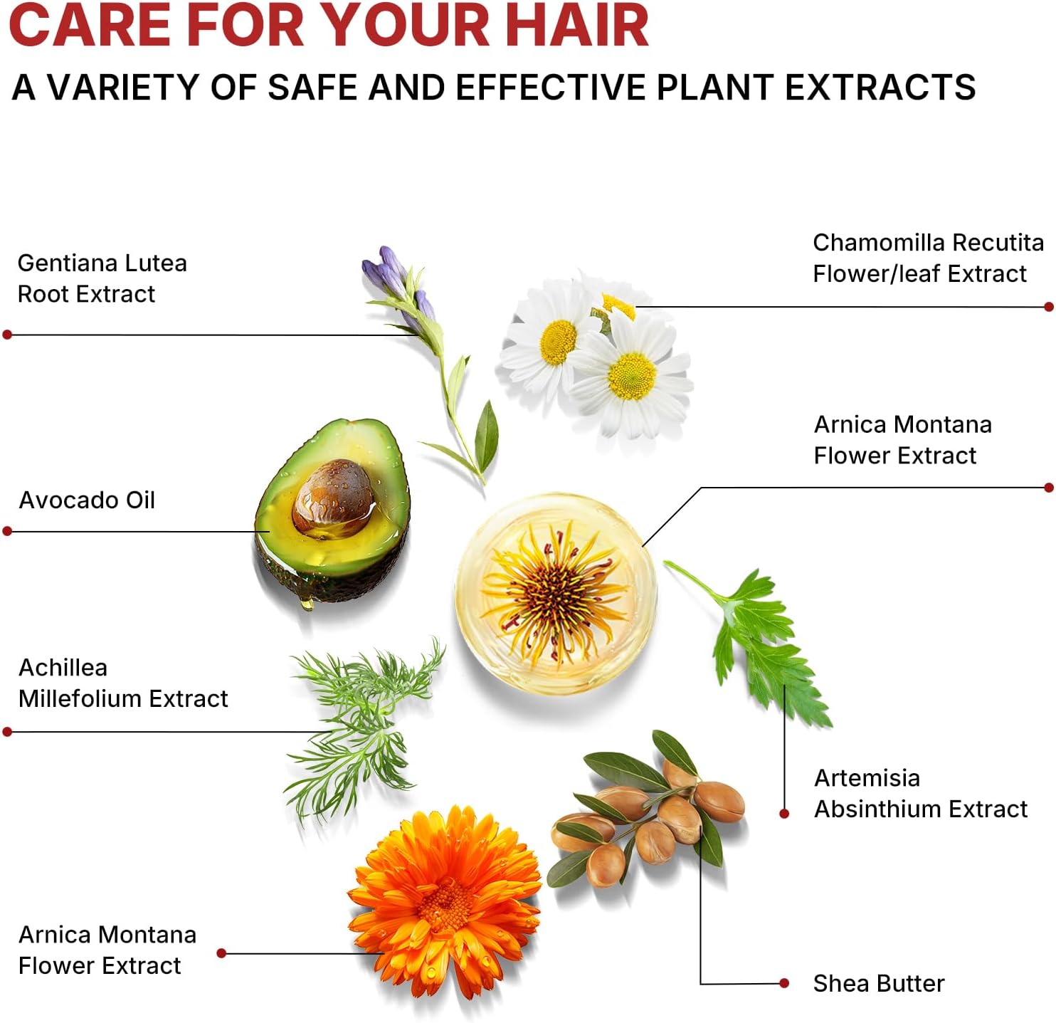 ORANGLES Argan Oil for Hair – Repair, Shine & Strengthen Treatment - full product showcase - displaying specifications - Image 5 of 7 | adapts to any space | Argan Oil for Hair – Repair, Shine & Strengthen Treatment deal New Jersey | Free Shipping ORANGLES