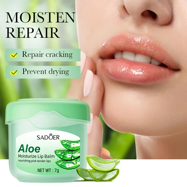 ORANGLES Sadoer Aloe Moisturize Lip Balm – Nourishing Care - angled perspective - presenting advantages - Image 4 of 5 | fits any environment | Purchase Sadoer Aloe Moisturize Lip Balm – Nourishing Care Michigan | Free Shipping ORANGLES